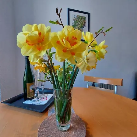 Apartman Moselliebe *