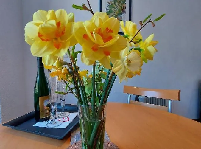 Apartman Moselliebe *